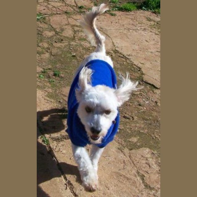 Photo of Xavier On Hold