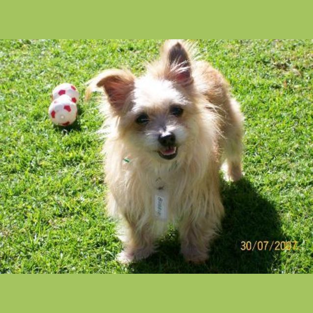 Photo of Bobby