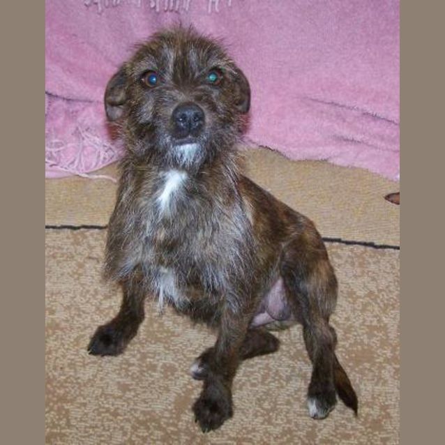 Photo of Maggie Sold