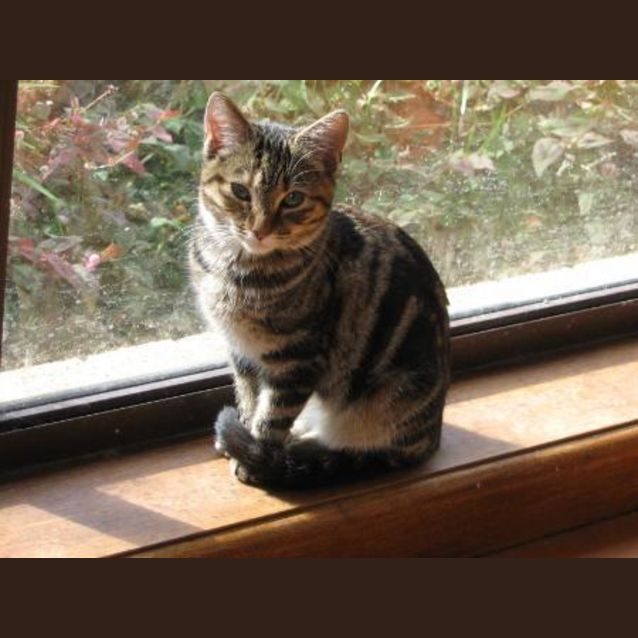 Photo of Hannah