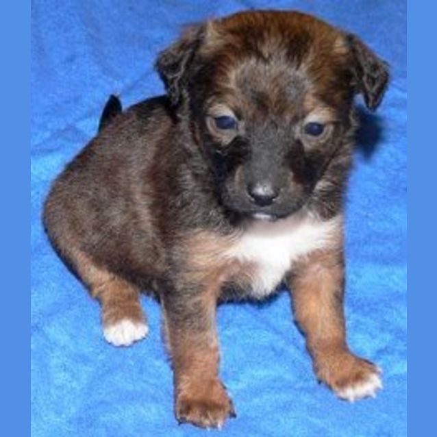 Photo of Freddo
