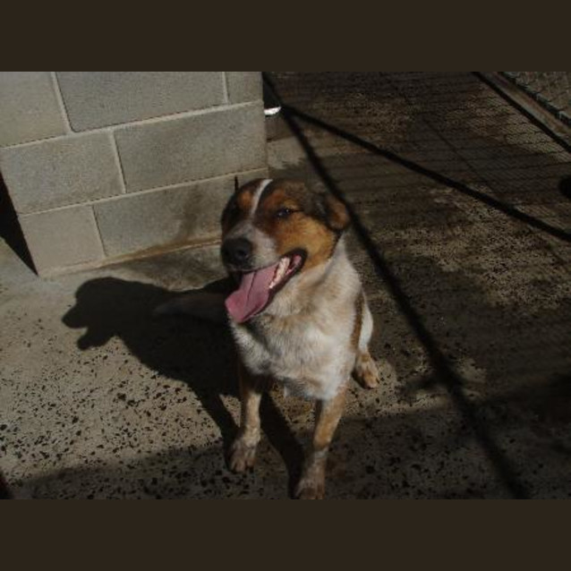 Photo of Johnnie