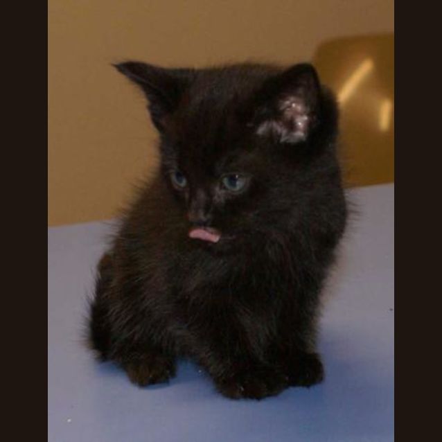Photo of Leroy