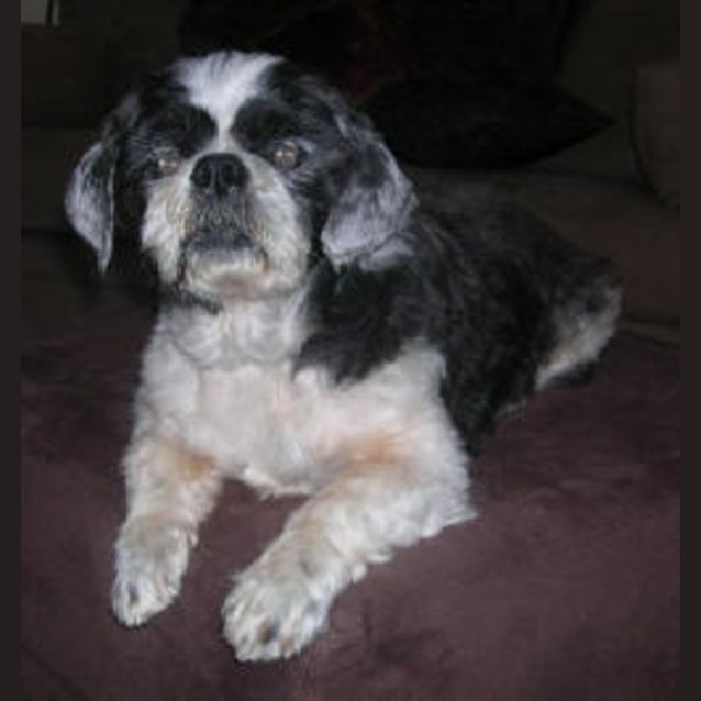 Photo of Bertie