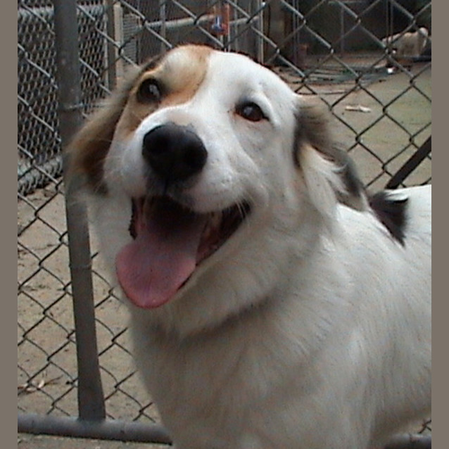 Photo of Max