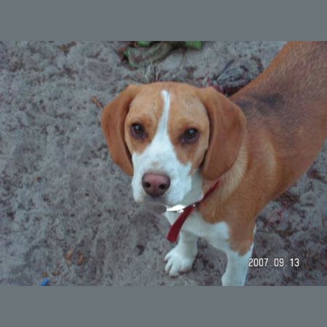 Photo of Molly (On Trial )