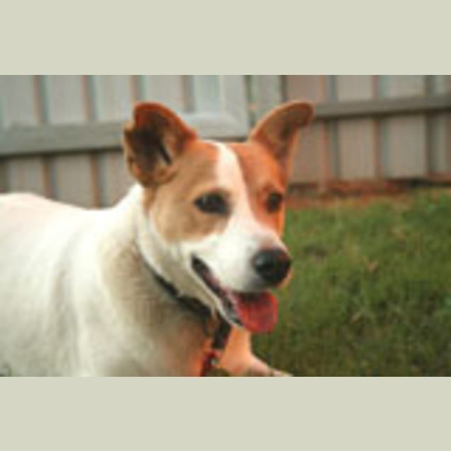 Photo of Bob