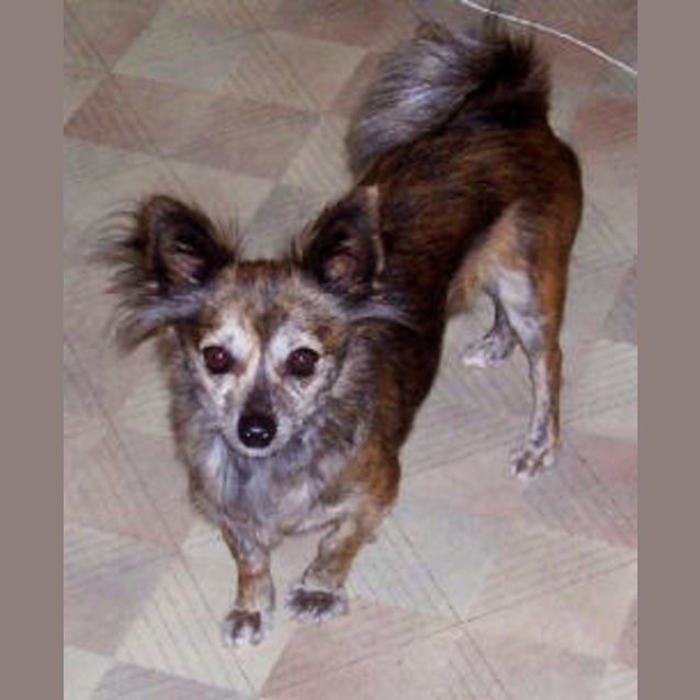 Photo of Roxy