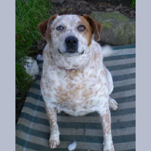 Photo of Annie