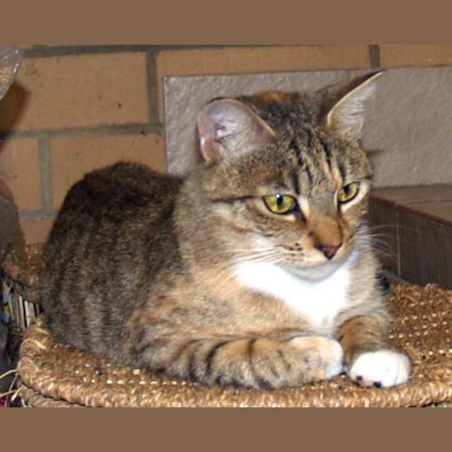 Photo of Tabitha