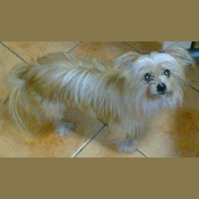 Photo of Monty Junior