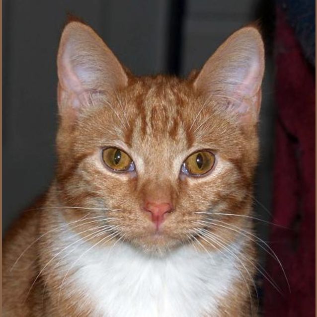 Photo of Ken