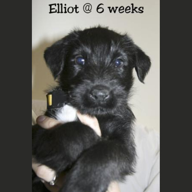Photo of Elliot