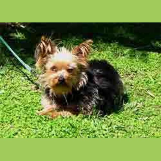 Photo of Amy & Tigger