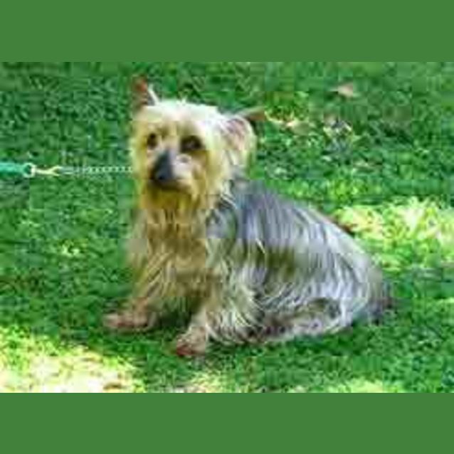 Photo of Amy & Tigger