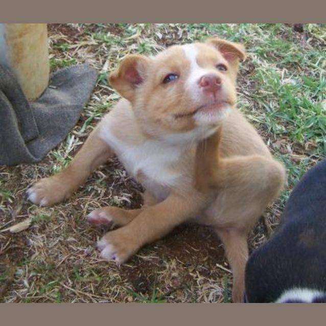 Photo of Bundy On Hold