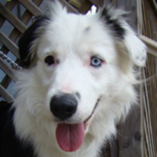 Photo of Cool Hand Luke