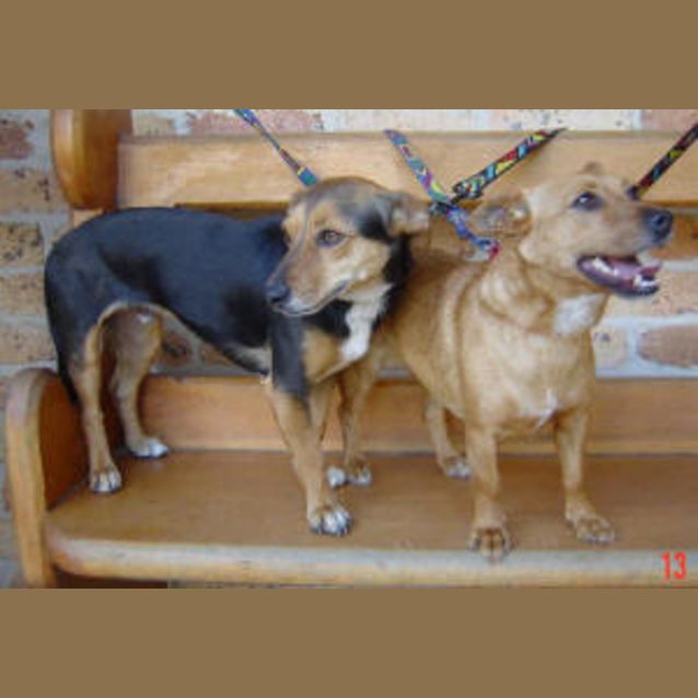 Photo of Buckley And Shameka