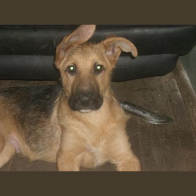 Photo of Able