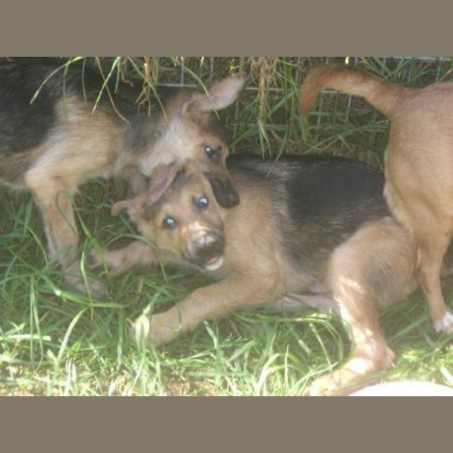 Photo of Kane Is In Hold