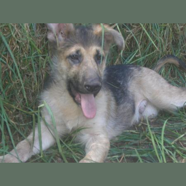 Photo of Kane Is In Hold