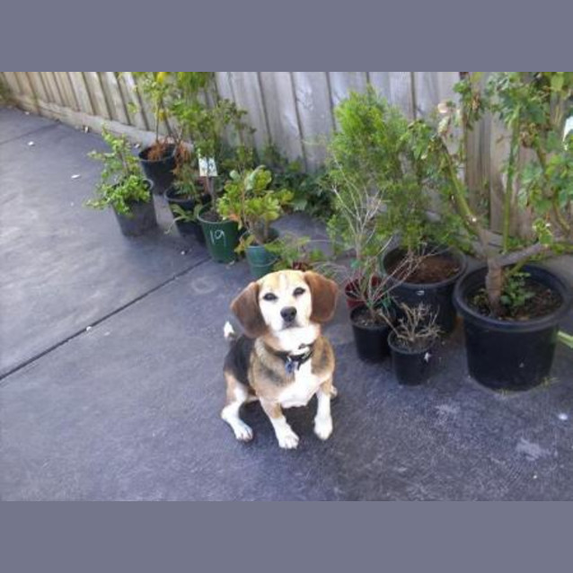 Photo of Michiba (On Trial)