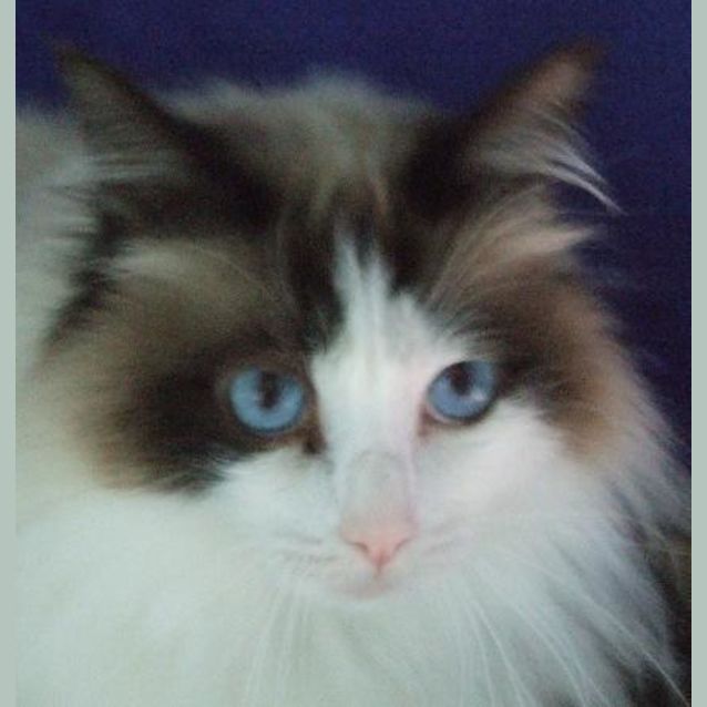 Photo of Timmy