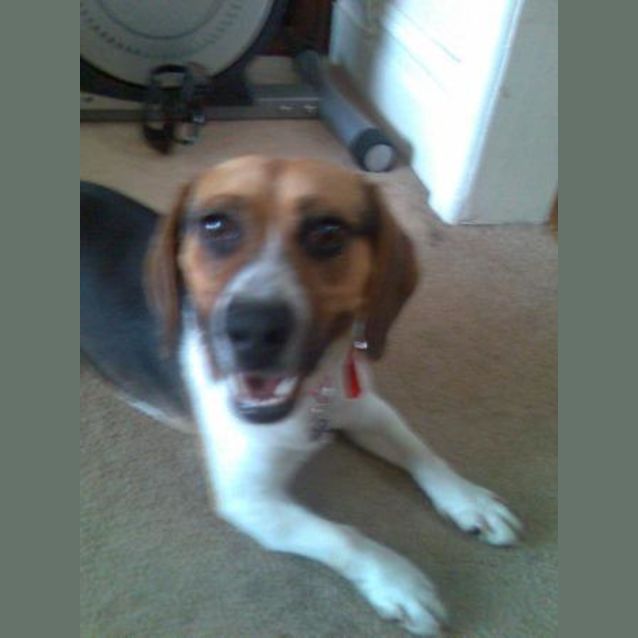 Photo of Cody( On Trial)