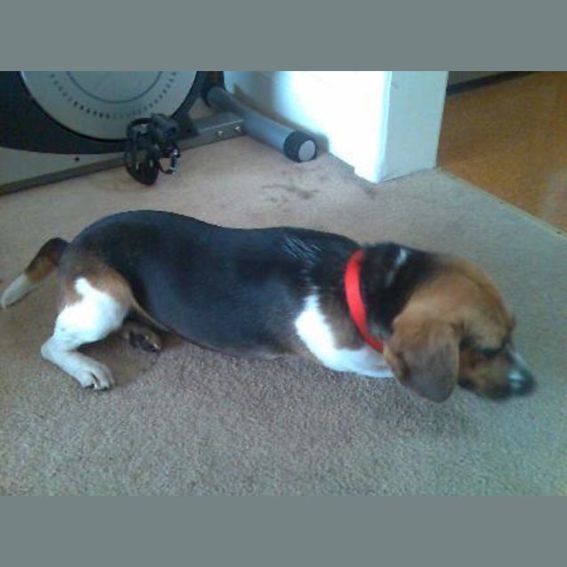 Photo of Cody( On Trial)