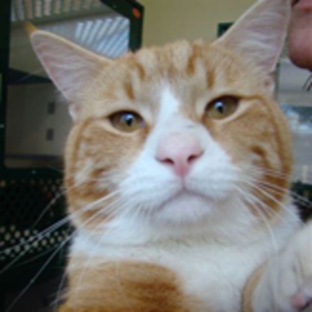 Photo of Malcolm In The Middle