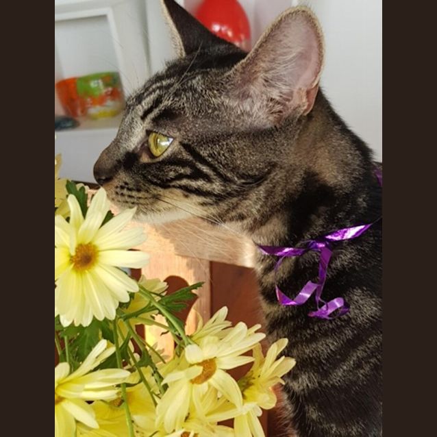 Photo of Constantine