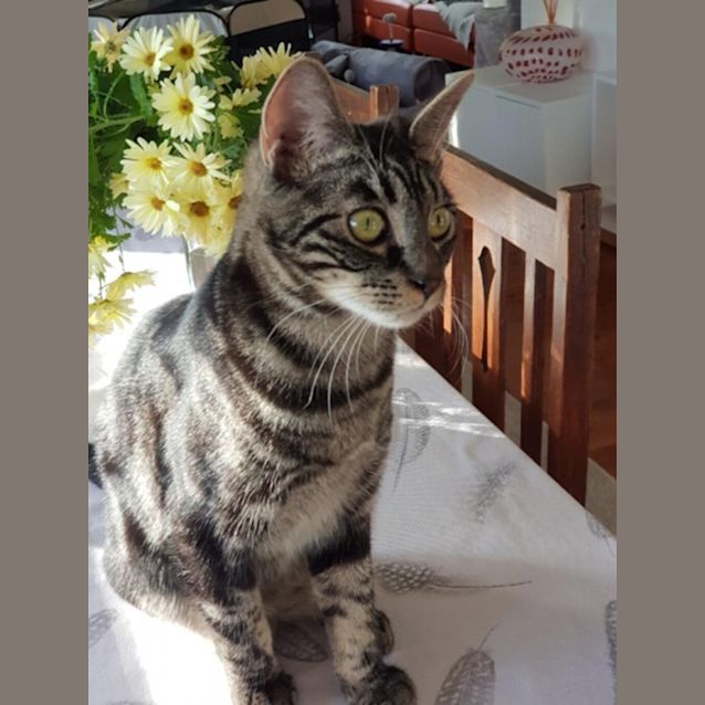 Photo of Constantine