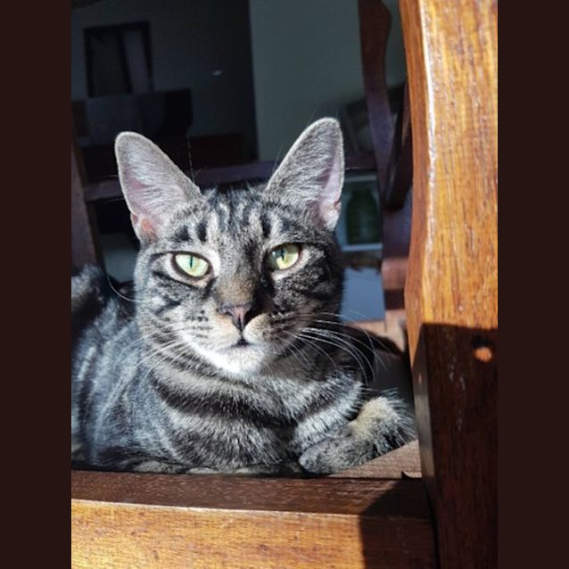 Photo of Constantine