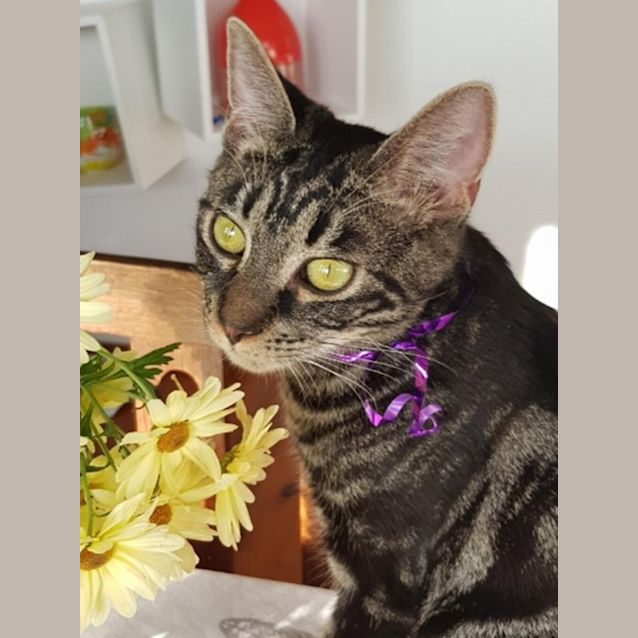 Photo of Constantine