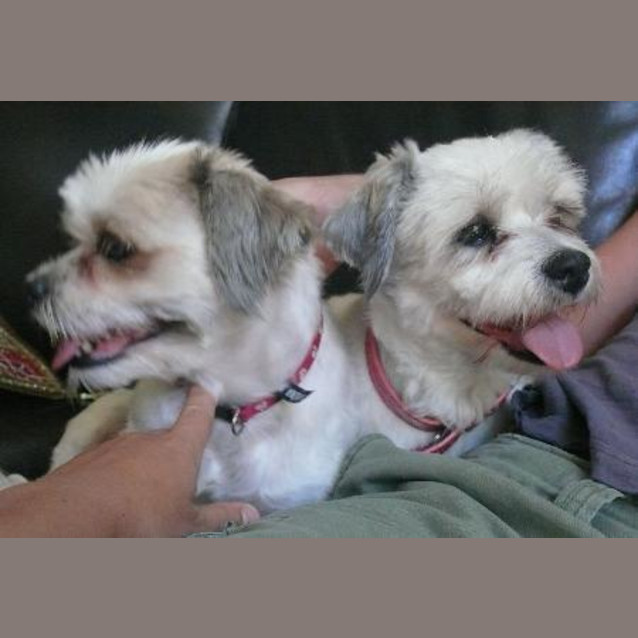 Photo of William & Winona