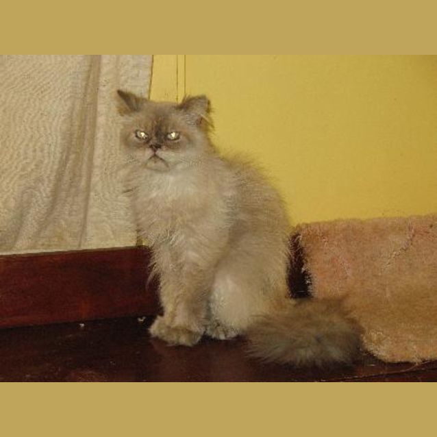 Photo of Emile