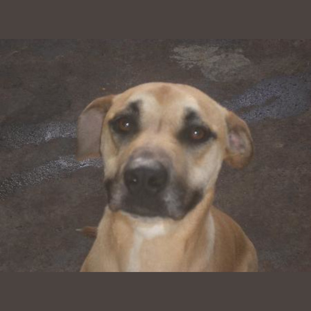 Photo of Bronte Is On Hold