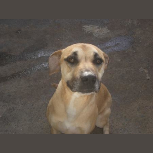 Photo of Bronte Is On Hold