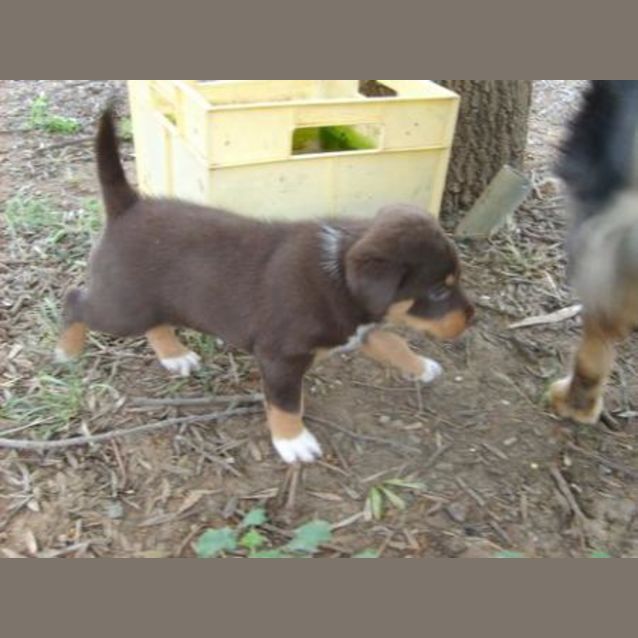 Photo of Whoopi On Hold