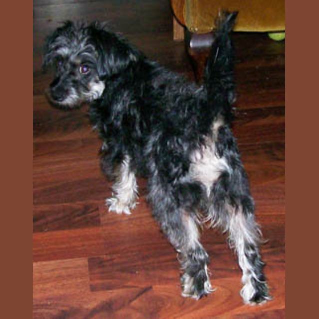 Photo of Zena