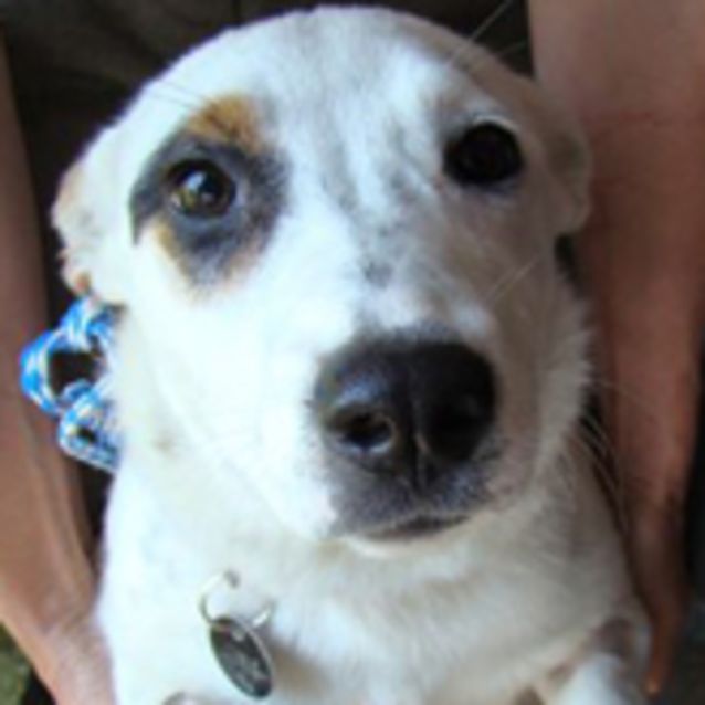 Photo of Ava Gardner