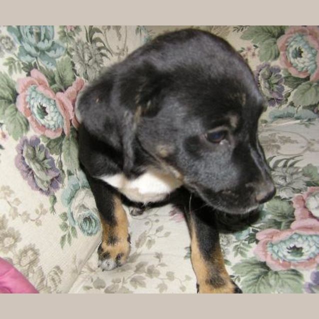 Photo of Wanda