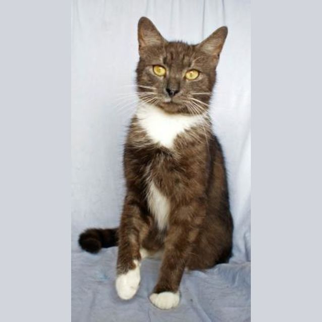 Photo of Sooty