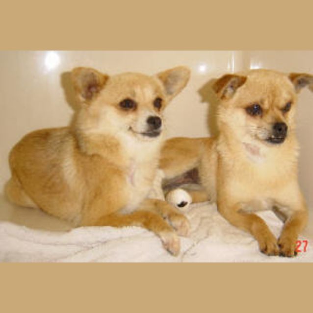 Photo of Revlon & Rimmel