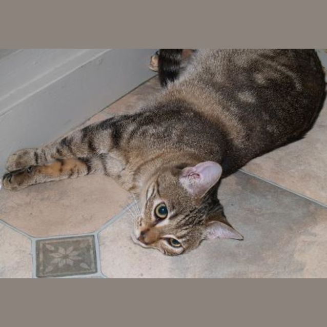 Photo of Tina