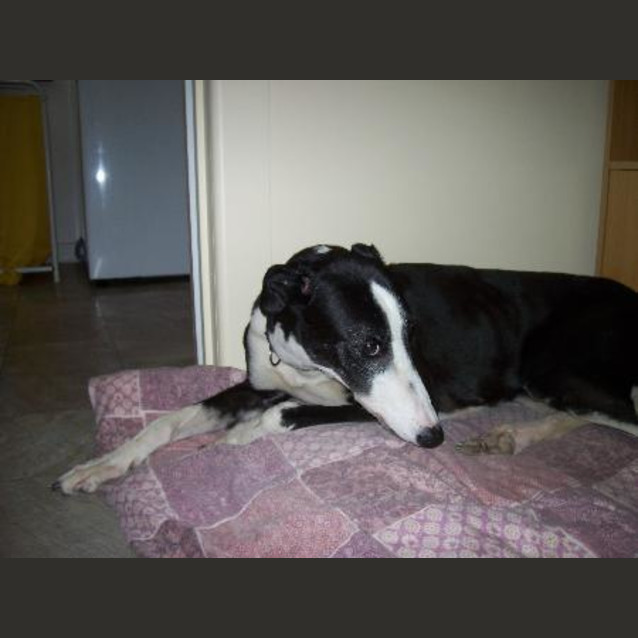 Photo of Maggie