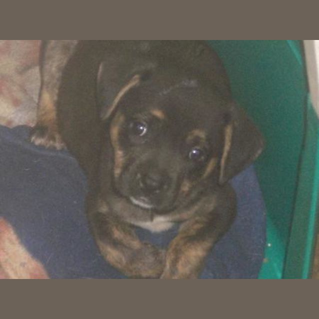 Photo of Elektra Is On Hold