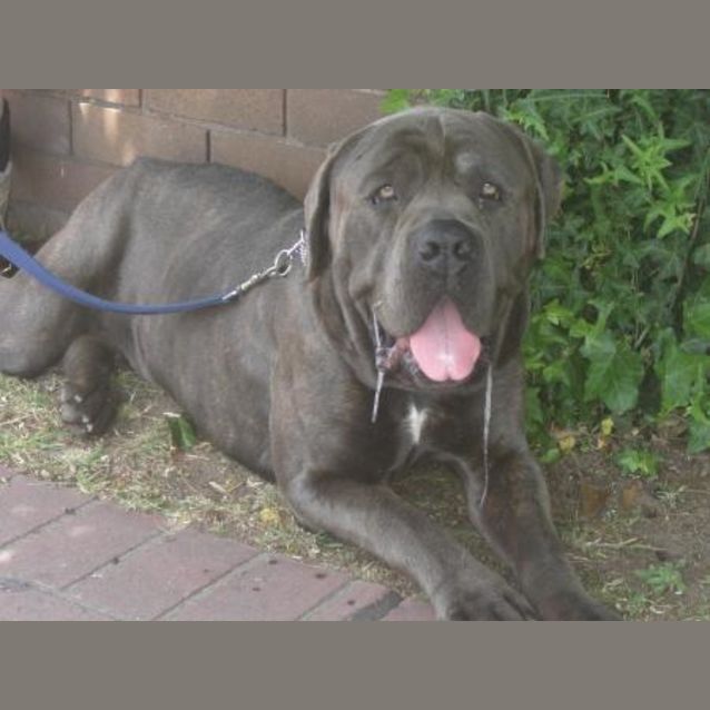 Photo of Boss Is On Hold