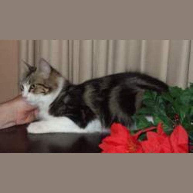 Photo of Mia