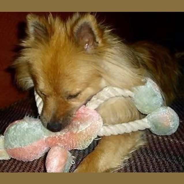 Photo of Ziggy On Trial